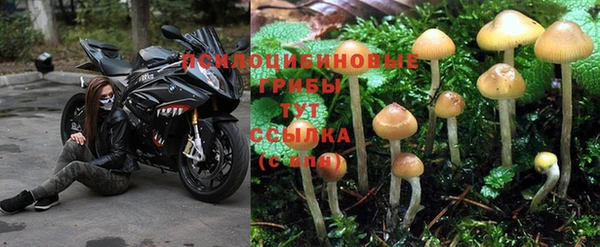 ГАЛЛЮЦИНОГЕННЫЕ ГРИБЫ Верхний Тагил