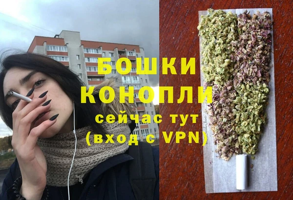 соль ск Верея