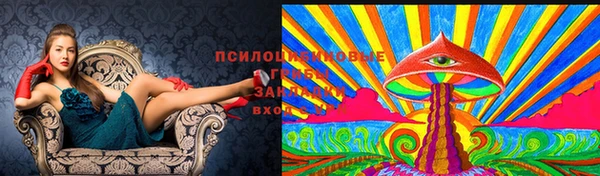 СК Верхнеуральск